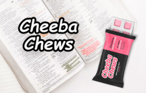 cheeba chews review sativa